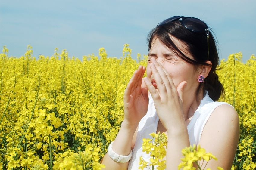 Combat Allergy Symptoms With These 7 Simple Ideas