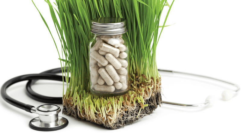 Naturopathic Detox Services