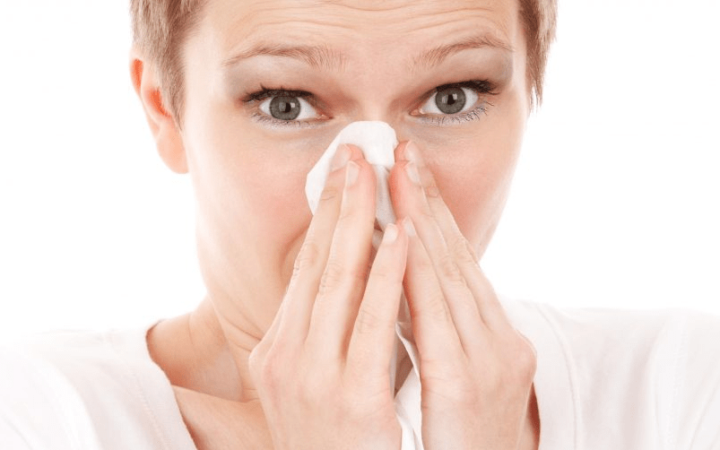 What is Hay Fever?